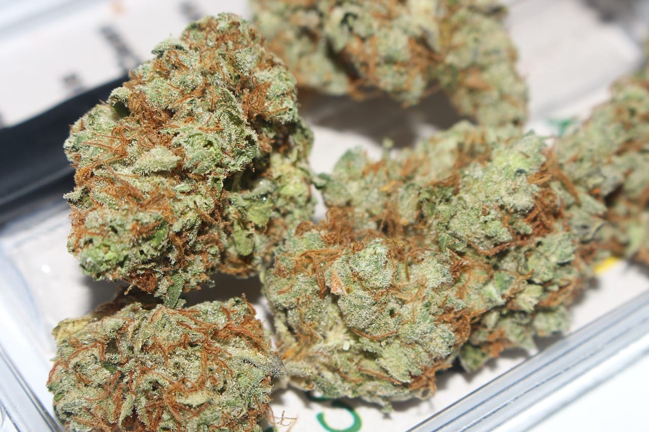 Hybrid cannabis Strains | Weedsy Canada