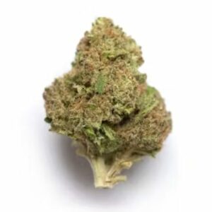 Supersonic | Weedsy Canada