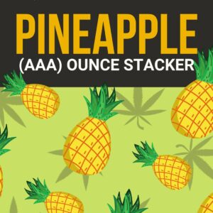 Pineapple 1 OZ Kit | Weedsy Canada