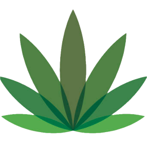 logo (1) - Weedsy Canada | Weedsy Canada